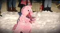 Kronika Pucharu Świata - Oslo (11. 03. 2023)