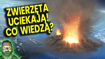 Zwierzęta Uciekają z Parku Yellowstone! Skutki Wybuchu Super Wulkanu Zmienią Świat! - Analiza Ator