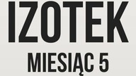 IZOTEK 5 I WEGAŃSKIE BROWNIE | patinaa
