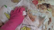 How To Make a Subway Sandwich