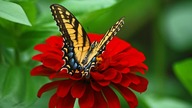 1h inspirational & relaxing music - scientifically proven effectiveness