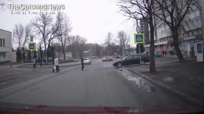 Pieszy z bronią ma zawsze rację