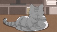 [Fusoku Subs] Yoru wa Neko to Issho 25