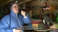 Chłopaki z barak&oacute;w s08e06 Napisy PL