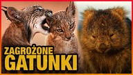 10 ZWIERZAT ZAGROZONYCH WYGINIECIEM
