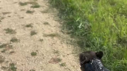 573412ff-2479-4c3f-b337-24648f364062