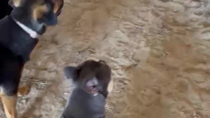 ac2acbf9-23a2-4fd1-ba9d-d04df63e0e59