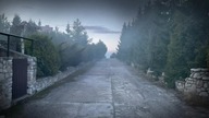 Oficjalny zwiastun filmu NATURE już 1 maja