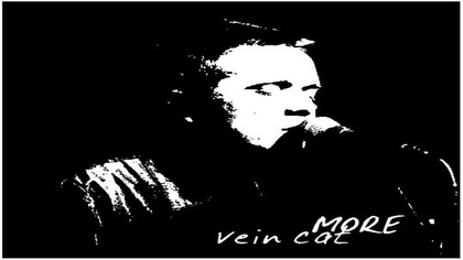 vein cat - More (2008)