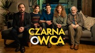 CZARNA OWCA - teaser