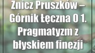Znicz Pruszków  Górnik Łęczna 0:1.  Pragmatyzm z błyskiem finezji