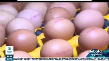 13. 03. 2023r To jest skurwysyństwa gnoji,..
