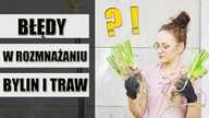 BŁĘDY popełniane przy rozmnażaniu BYLIN i TRAW ogrodowych