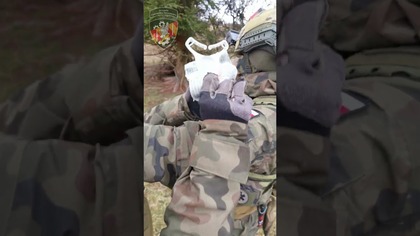  Opatrunek osobisty typu Israeli | Sprzęt medycyny taktycznej  przegląd #IsraeliBandage #TCCC