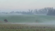 Mgła