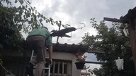 Uratowałem gołębia i uszczelniłem wolierę dla kurczaków.
