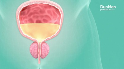 WP - 02-01-2025 - Reklama (fragment), Ident