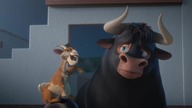 Fernando (2017)