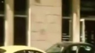 Dzień z życia mrówczarza 3