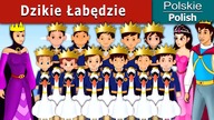 Dzikie Łabędzie Polish Fairy Tales