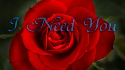 Kate Todd - I Need You