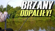 510 BRZANY ODPALIŁY! MOJA SZKOŁA CIĘŻKIEGO FEEDEROWEGO ŁOWIENIA!