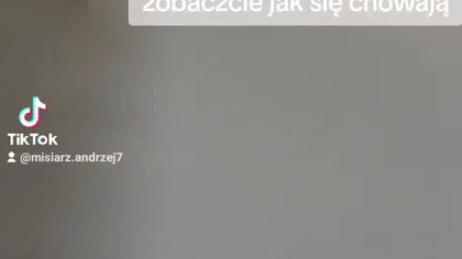 na samym końcu