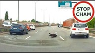 Wypadek z dzikami na trasie Siekierkowskiej w Warszawie #1835 Wasze Filmy