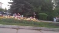 Sama kretyńska kradzież butelki piwa