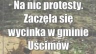 Na nic protesty.  Zaczęła się wycinka w gminie Uścimów