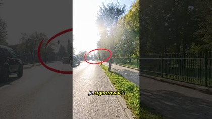 Stop, czerwone światło jest dla każdego  #rower #bezpieczeństwo #droga