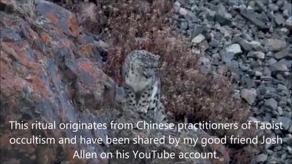 Werebeast Lore - An Analysis of Josh Allen Mirror Ritual