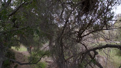 Agenci NCIS 16
