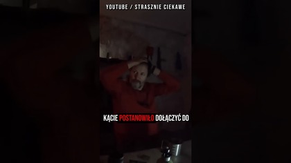 Myśleli, że to żart...  bardzo się mylili 