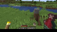 minecraft minecraft gameplay