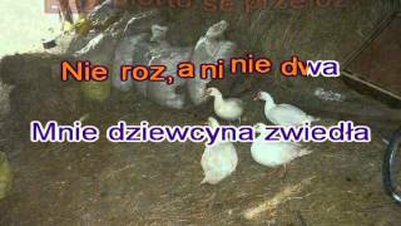 Karaoke Baciary Jak się bawią ludzie - CDA