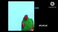 Aplaplac Logo History