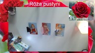 Rozkład Tarota  Róża pustyni Wybierz Kartę  Bezterminowe na 3 miesiące od dnia gdy to zobaczysz 