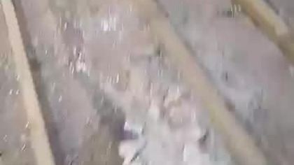 Oczko na środku, poziomica prosta tylko piwnica krzywa 