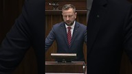 Kosiniak Kamysz o granicy: Hordy bandytów