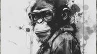 Special Tech House & Minimal Songs