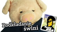 Podkładanie świni / Bartek Usa