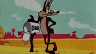 Struś Pędziwiatr i Koyote odc. 40