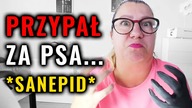 Korekta żelowa lewą ręką i historia z sanepidem...  *MASAKRA* | Quloo