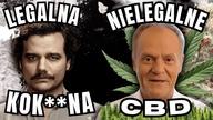 Kolumbia LEGALIZUJE KOK**NĘ a CBŚ likwiduje NAJWIĘKSZĄ PLANTACJĘ MAR**HUANY w Europie (Tusk, legal)