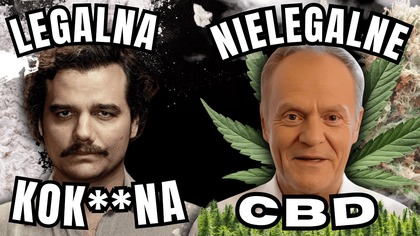 Kolumbia LEGALIZUJE KOK**NĘ a CBŚ likwiduje NAJWIĘKSZĄ PLANTACJĘ MAR**HUANY w Europie (Tusk, legal)