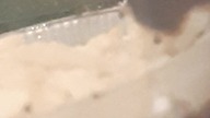 #cute snail  eats cuttlefish bone powder