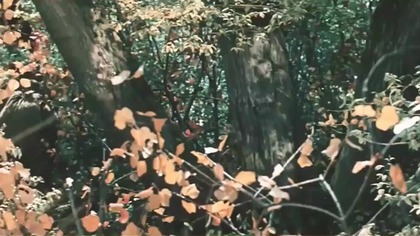 KUROSAVA.  - Dersu Uzala.  (1975)