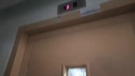 Winda Niemarkowa na skowronków 6a w klatce drugiej