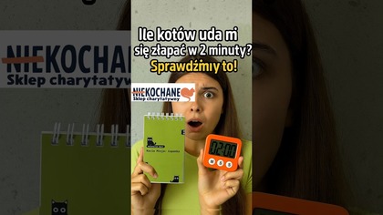 Ile kotów złapię w 2 minuty? #wolontariatquest #niekochane #szybkagra #nażywo #funnyshorts